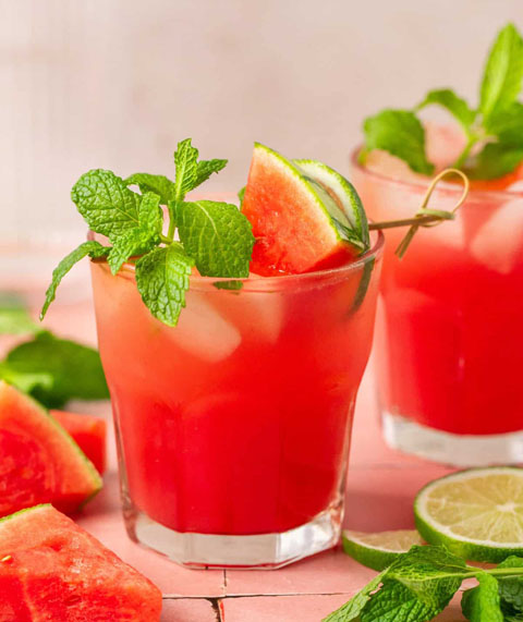 Watermelon Mojito